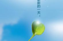 保健食品“双十一”消费观察:传统品类稳增,口服抗衰暴涨353\%